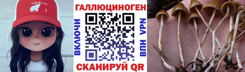 Галлюциногенные грибы Cubensis  Дигора 